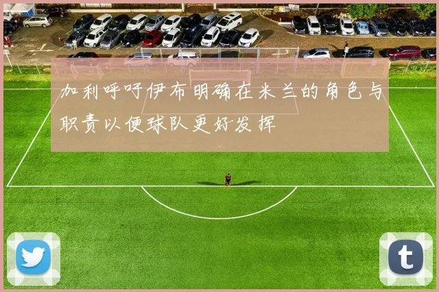 加利呼吁伊布明确在米兰的角色与职责以便球队更好发挥