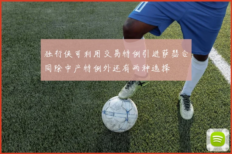 独行侠可利用交易特例引进萨瑟合同除中产特例外还有两种选择