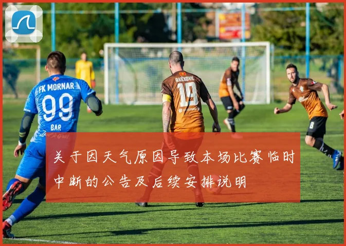 关于因天气原因导致本场比赛临时中断的公告及后续安排说明